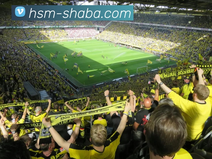 App Interface Preview